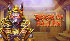 La slot machine Book of the Fallen